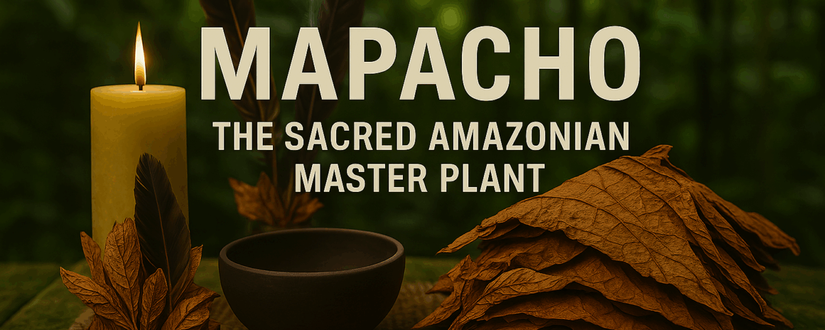 Close-up of Mapacho leaves arranged in a ceremonial setting within the Amazon jungle